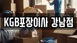KGB포장이사 강남점