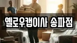옐로우캡이사 송파점