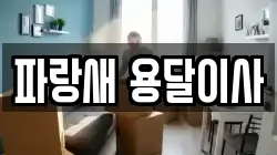 파랑새 용달이사