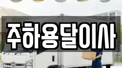 주하용달이사