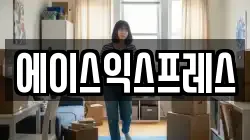 에이스익스프레스