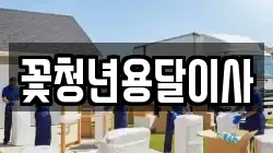 꽃청년용달이사