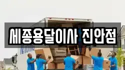 세종용달이사 진안점