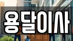 용달이사