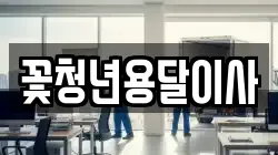 꽃청년용달이사