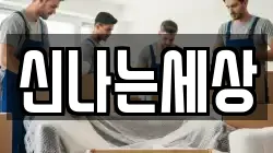 신나는세상