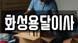 화성용달이사