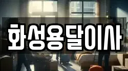 화성용달이사