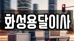 화성용달이사