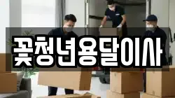 꽃청년용달이사
