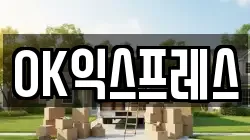 OK익스프레스