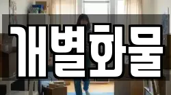 개별화물