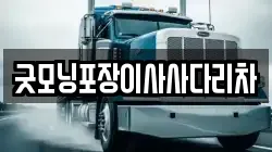 굿모닝포장이사사다리차