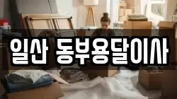일산 동부용달이사