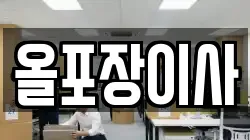 올포장이사