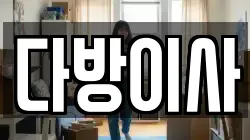 다방이사