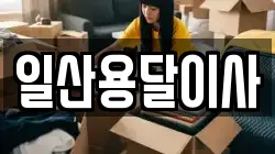 일산용달이사