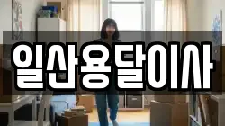 일산용달이사