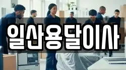 일산용달이사