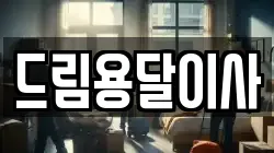 드림용달이사