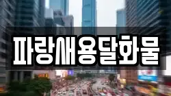 파랑새용달화물