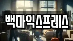 백마익스프레스