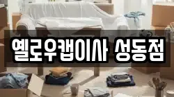 옐로우캡이사 성동점