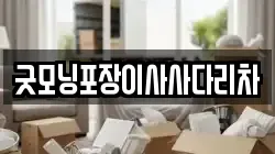 굿모닝포장이사사다리차