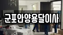 군포안양용달이사