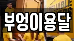 부엉이용달