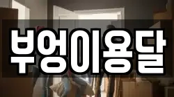부엉이용달