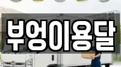 부엉이용달