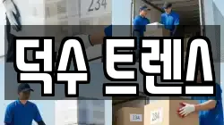 덕수 트렌스