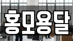 경기 김포시 월곶면 이사,포장이사,반포장이사,원룸이사,사무실이사,용달이사,전국이사,보관이사
