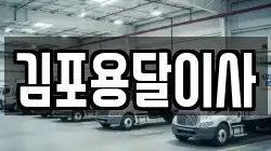 김포용달이사