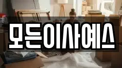 모든이사예스
