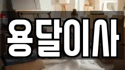 용달이사