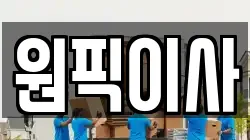 원픽이사