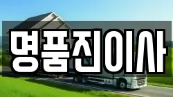 명품진이사