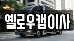 옐로우캡이사