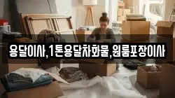용달이사,1톤용달차화물,원룸포장이사