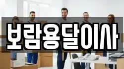 보람용달이사