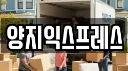 양지익스프레스