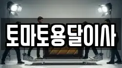 토마토용달이사