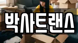 박사트랜스