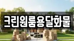 크린원룸용달화물