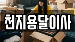 천지용달이사