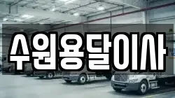 수원용달이사