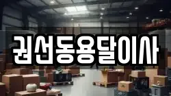 권선동용달이사