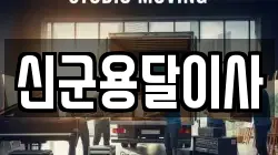 신군용달이사